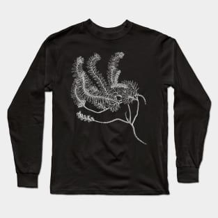 Botanical Plant Leaves Long Sleeve T-Shirt